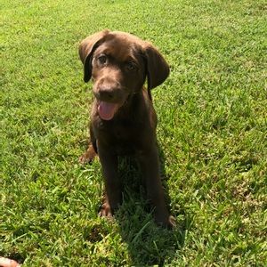 Meet your Posher, Dustin